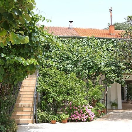 Apartments With A Parking Space Bibinje, Zadar - 18843 Ngoại thất bức ảnh