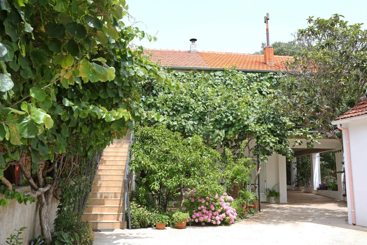 Apartments With A Parking Space Bibinje, Zadar - 18843 Ngoại thất bức ảnh